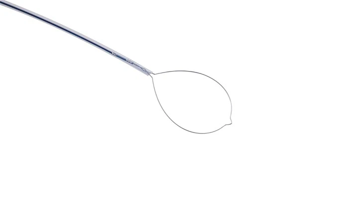 OEM Endoscopic Rotatable Polypectomy Snare